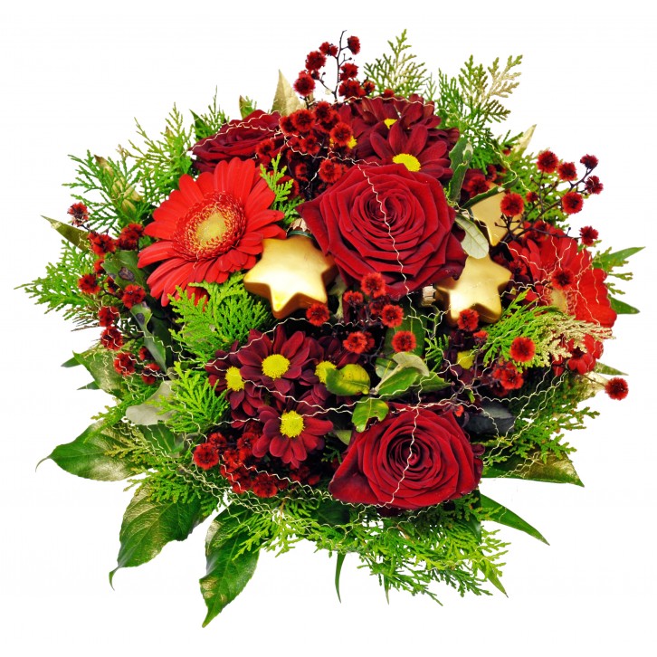 Alegría de la Navidad