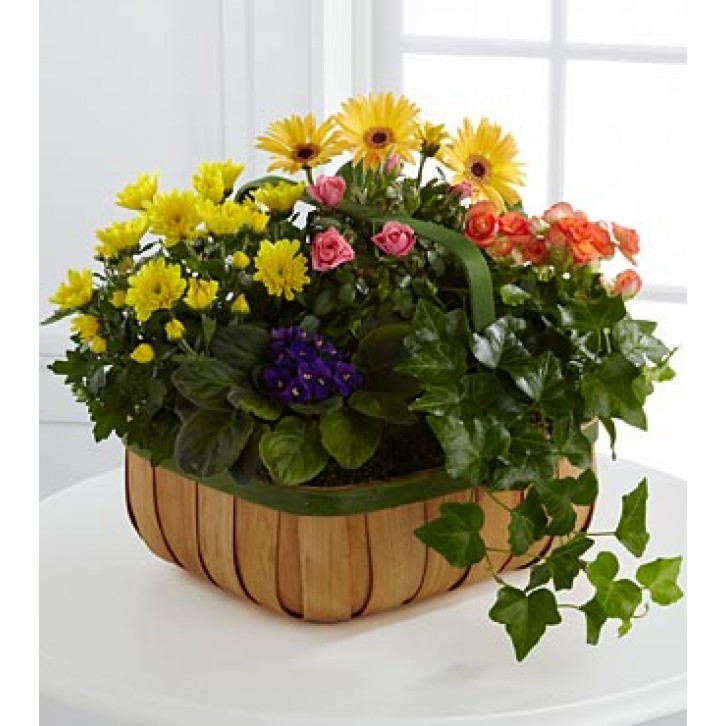 The FTD® Gentle Blossoms™ Basket