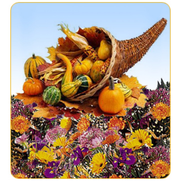 Ramo de Sorpresa / Thanksgiving