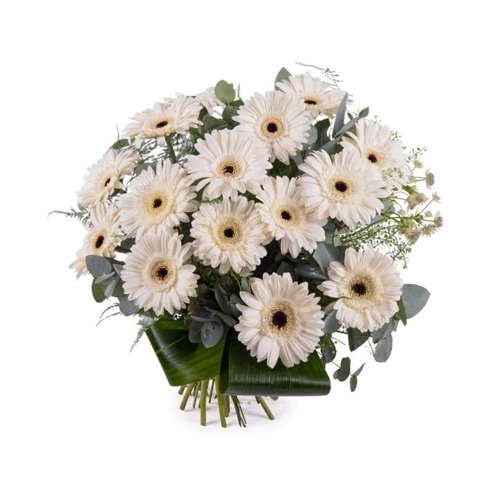 Silêncio, Ramo de Gerberas Brancas