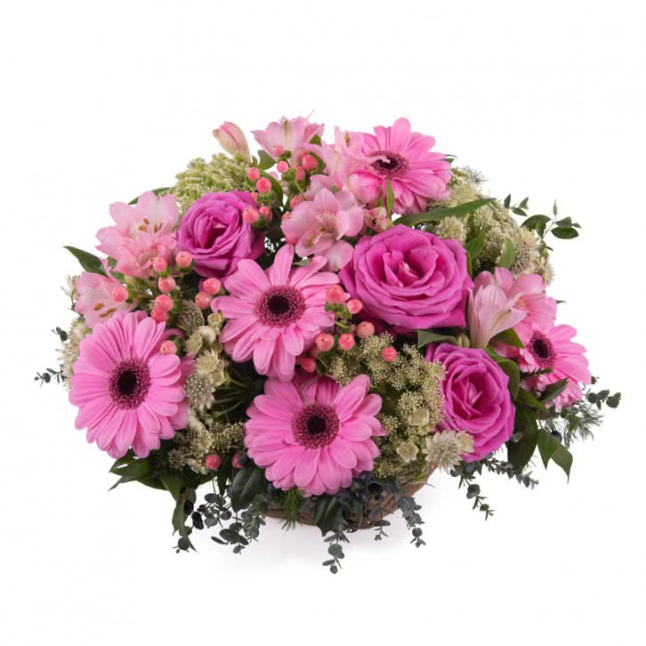 Ternura, Cesto de Gerberas Cor-de-Rosa