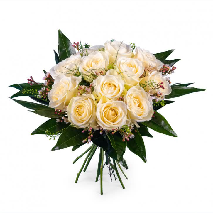 Pureza, Rosas Brancas de Pé Curto