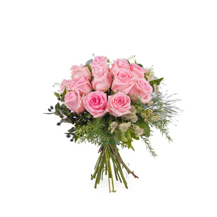 Graça, Rosas Cor-de-Rosa de Pé Curto
