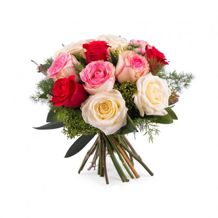 Delicadeza, Rosas Multicor de Pé Curto