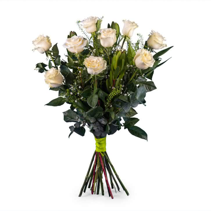 Nona, 9 Rosas Brancas de Pé Longo