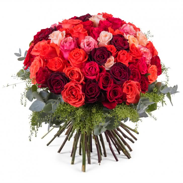Delícia, 60 Rosas Multicor de Pé Curto