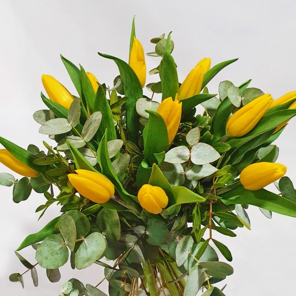 Tulipas amarelas