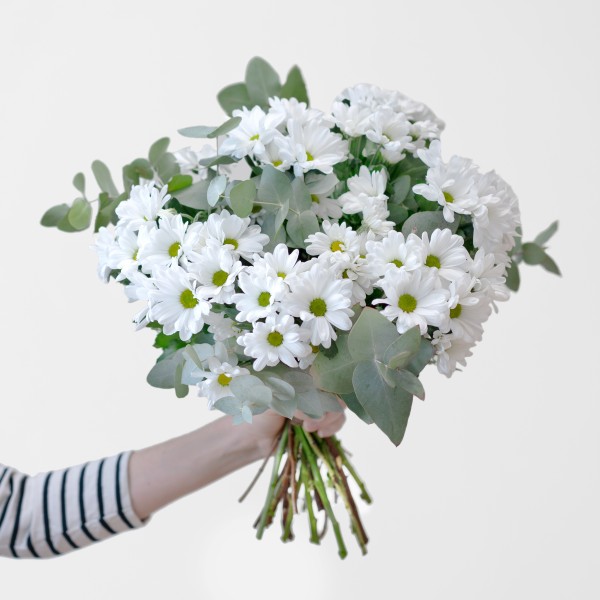 Entrega de flores - Ramo de Margaridas Brancas | Interflora