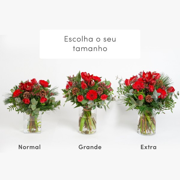 PACK: Sob a árvore de Natal + OSO, Bouquet de flores mistas em tons de vermelho + OSO