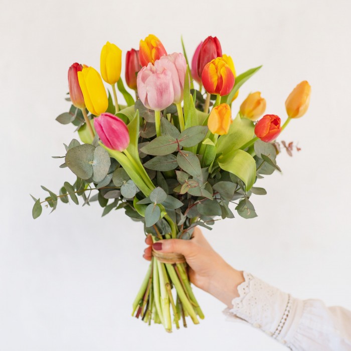 Ramo de Tulipas
