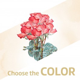 12 rosas de tallo medio, 12 rosas de tallo medio