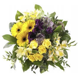 Get well soon!, Get well soon!