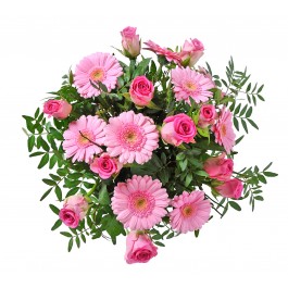 Baby Girl, Baby Girl