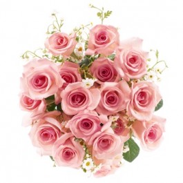 La vida en rosas rosas, La vida en rosas rosas