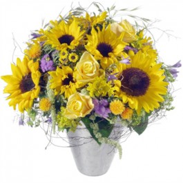 Our sunshine, Our sunshine