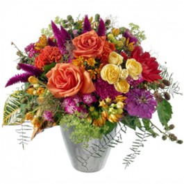 Summernight Party, Summernight Party