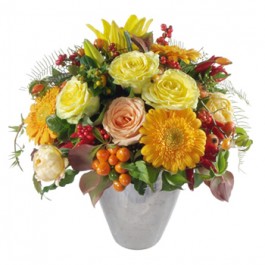 Sun of Indian Summer, Sun of Indian Summer