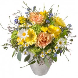 Spring fairy, Spring fairy