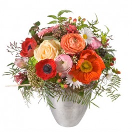 Melody of Spring, Melody of Spring