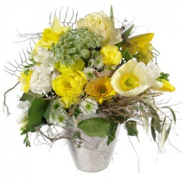 Spring Sunrays, Spring Sunrays