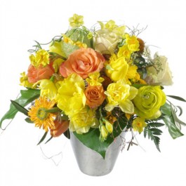 Hurray, Spring is Here, Hurray, Spring is Here