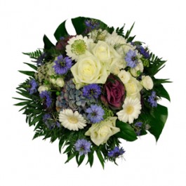 Principito, Principito