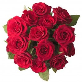 12 red roses without filler, 12 red roses without filler