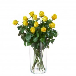12 yellow roses, 12 yellow roses