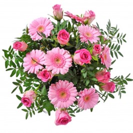 Baby Girl, Baby Girl