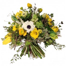 Spring Joy, Spring Joy