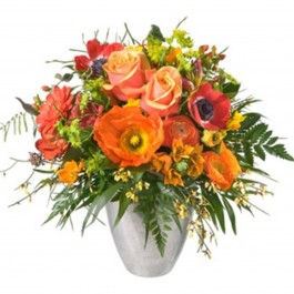  Spring surprise,  Spring surprise