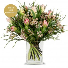 Delicate spring composition, Delicate spring composition