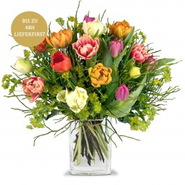 Cheerful Bouquet of Tulips, Cheerful Bouquet of Tulips