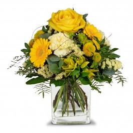 Sunny vibes, Sunny vibes