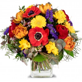 Spring Meadow, Spring Meadow