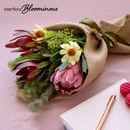 Wild Petals, Wild Petals