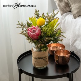 Wild About You, Wild About You