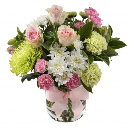 Mum Knows Best, Mum Knows Best