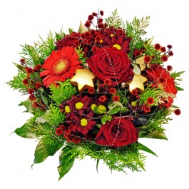 Alegría de la Navidad, Alegría de la Navidad