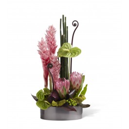 Pacific Paradise Arrangement, Pacific Paradise Arrangement