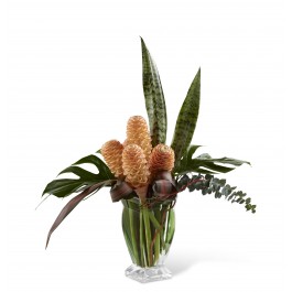 Touch of Tropics Arrangement, Touch of Tropics Arrangement