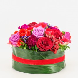 Enchantment, Enchantment