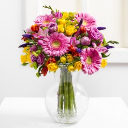 Wishes Come True, Wishes Come True