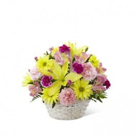 Basket of Cheer, Basket of Cheer