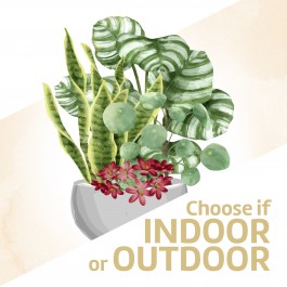 Arrangement de plantes, Arrangement de plantes