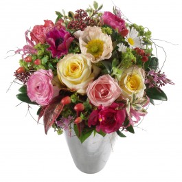 Petite surprise, Petite surprise