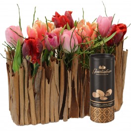 Elégant jardinet de tulipes avec amandes au cacao Gottlieber, Elégant jardinet de tulipes avec amandes au cacao Gottlieber