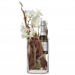 Elégant et naturel avec prosecco Albino Armani DOC (20cl), Elégant et naturel avec prosecco Albino Armani DOC (20cl)