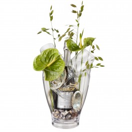 Ocean Breeze: Prosecco Albino Armani DOC (75 cl) incl. ice b, Ocean Breeze: Prosecco Albino Armani DOC (75 cl) incl. ice b