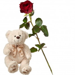 1 Red Rose (long stem) with teddy bear (white), 1 Red Rose (long stem) with teddy bear (white)